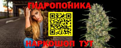 стафф Кандалакша