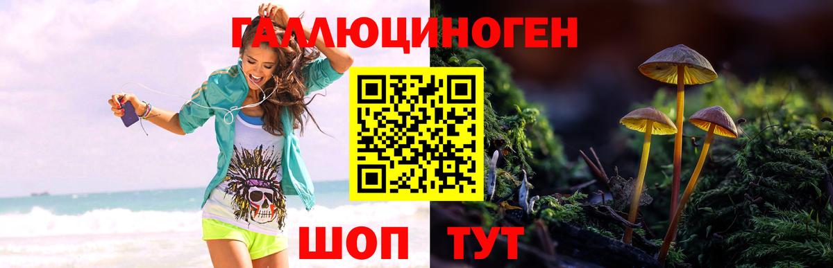 Псилоцибиновые грибы ЛСД  Вход с VPN  Красный Сулин 
